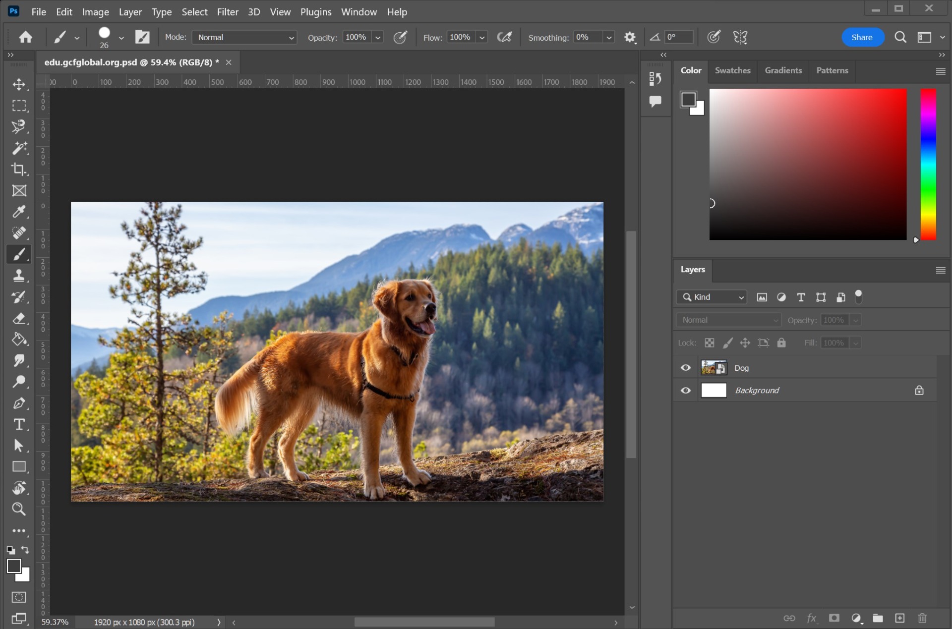 ADOBE PHOTOSHOP