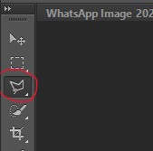 PASO 2 UBICAR LA HERRAMIENTA LAZO POLIGONAL